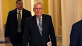 U.S. debt limit increase not needed this year -Sen. McConnell