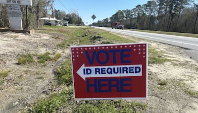 Low voter turnout in Bryan, Effingham counties as residents decide county chairman races