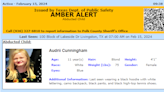 Texas Amber Alert: 11-year-old Audrii Cunningham still missing, person of interest arrested