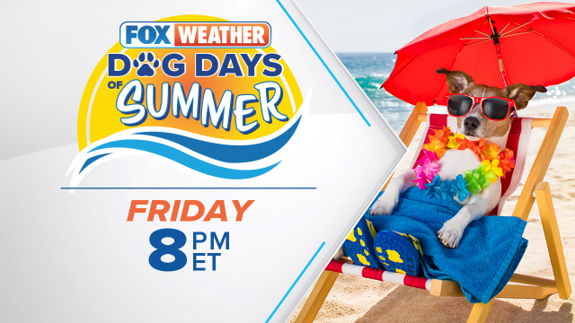 FOX Weather presents 'Dog Days of Summer' on Friday at 8 p.m. ET