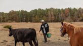 Federal conservation programs help farmers, but funding is so tight that 'frustration and anger is pretty real'