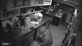 Crime Stoppers: Surveillance video catches man burglarizing Beerline Cafe