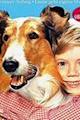 Lassie: A New Beginning