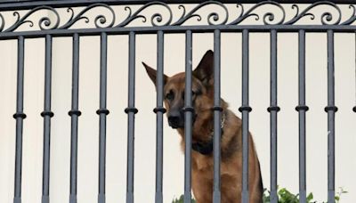 川普潛在搭檔稱應賜死拜登愛犬 白宮回擊