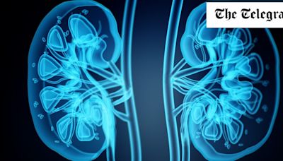 Kidney disease: How to protect yourself and the symptoms the NHS may not spot