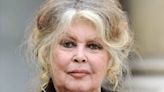 Ola de calor: Brigitte Bardot sufrió problemas respiratorios y debió ser asistida de urgencia por los bomberos