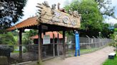 Com verba de multas ambientais, MP de Caxias destina recursos para UCS reabrir zoológico ao público | Pioneiro