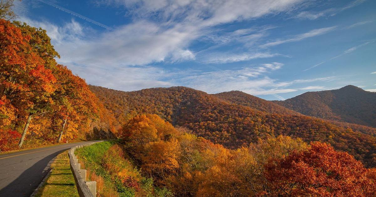 6 scenic fall drives where you can get your foliage fix this year