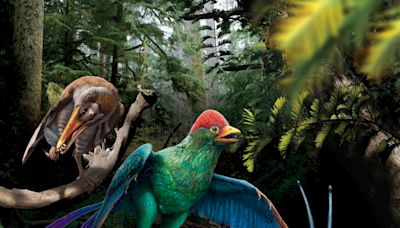 中大揭恐龍時代古鳥已演化出多樣化飲食 | am730
