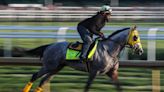 Kentucky Derby 2024 stream: Time, streaming and how to watch on your phone