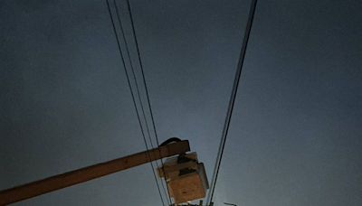 新竹香山「一隻松鼠」害1305戶停電 台電致歉：已恢復供電