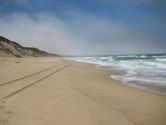 Marina State Beach