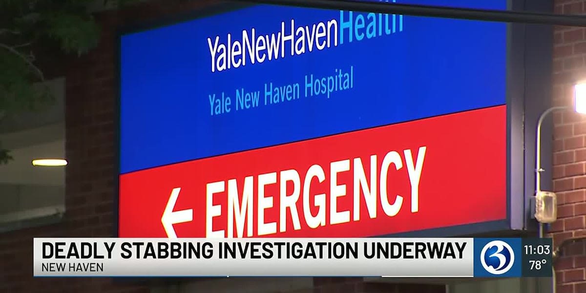 26-year-old man dies after stabbing in New Haven