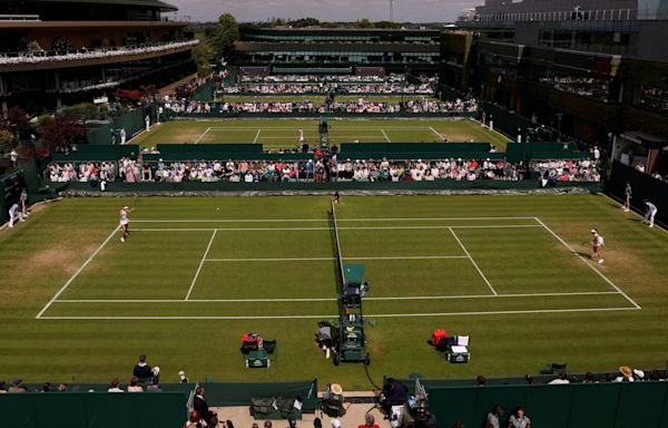 Wimbledon offers up more public land as club seeks to get expansion over the line