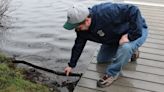 MassWildlife is restocking North Central Mass. fishing holes with trout - where to go