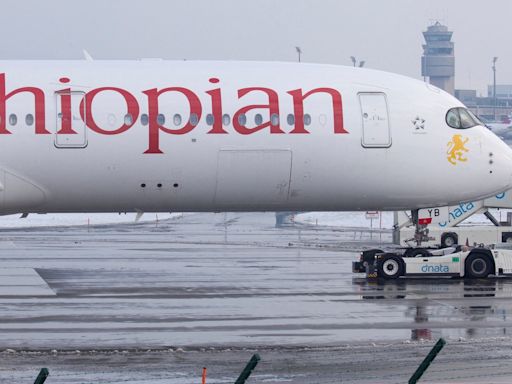 Ethiopian Airlines sees 30% surge in passengers this year, CEO says