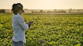 Researchers discover high-tech ‘smart farming’ process that could help us grow food with fewer chemical fertilizers