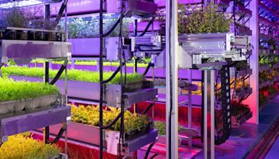 Una empresa especializada en agricultura dice que habrá cultivos en el Espacio en 2026