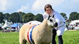 Kington Show set to bring in crowds