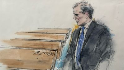 Hunter Biden's 'high drama' day in court ends in shocking guilty plea