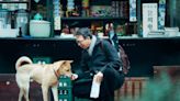 Hachiko 2: siempre a tu lado, el perro fiel regresó al cine