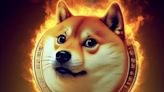 Shiba Inu Faces Bearish Sentiment as Token Burn Rate Plummets and Prices Tumble - EconoTimes