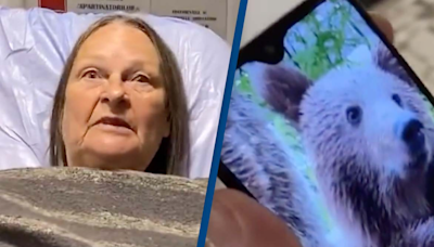 Tourist mauled after winding window down to take selfie with bear