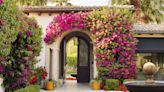 This Bougainvillea-Draped Villa Near Palm Springs Is Made for Serious Desert Lounging