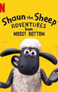 Shaun the Sheep: Adventures from Mossy Bottom