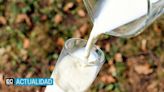 5,6 millones de litros de leche se producen cada día en Ecuador