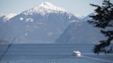 Propeller falls off BC Ferries vessel, spilling 800 litres of oil