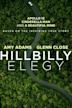 Hillbilly Elegy (film)