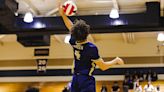 Boys Volleyball: Results and links for Saturday, April 27