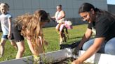 Summer is for growing: Green Thumbs Club keeps Lincoln Elementary students engaged