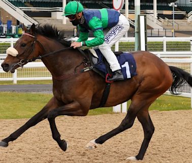 'He ran a hell of a race last time' - Connor Beasley can't wait for Brunch as Michael Dods runner gets golden opportunity