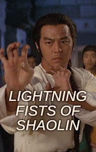 Lightning Fists of Shaolin