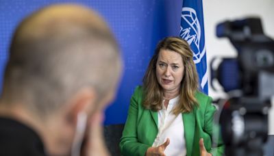 Head of UN migration agency says it reaps funds, but worries about politics loom over aid groups