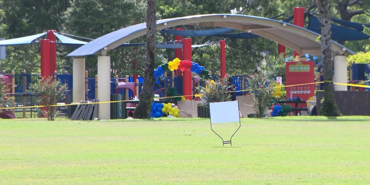 Boy, 3, playing at birthday party killed in drive-by shooting, police say