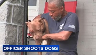 Owner mourns dog after Philadelphia police officer shoots, kills 2 pit bulls during dog fight - ABC17NEWS