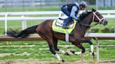 Preakness Stakes 2024 predictions, Mystik Dan odds: Win, place, show, trifecta, plus superfecta expert picks