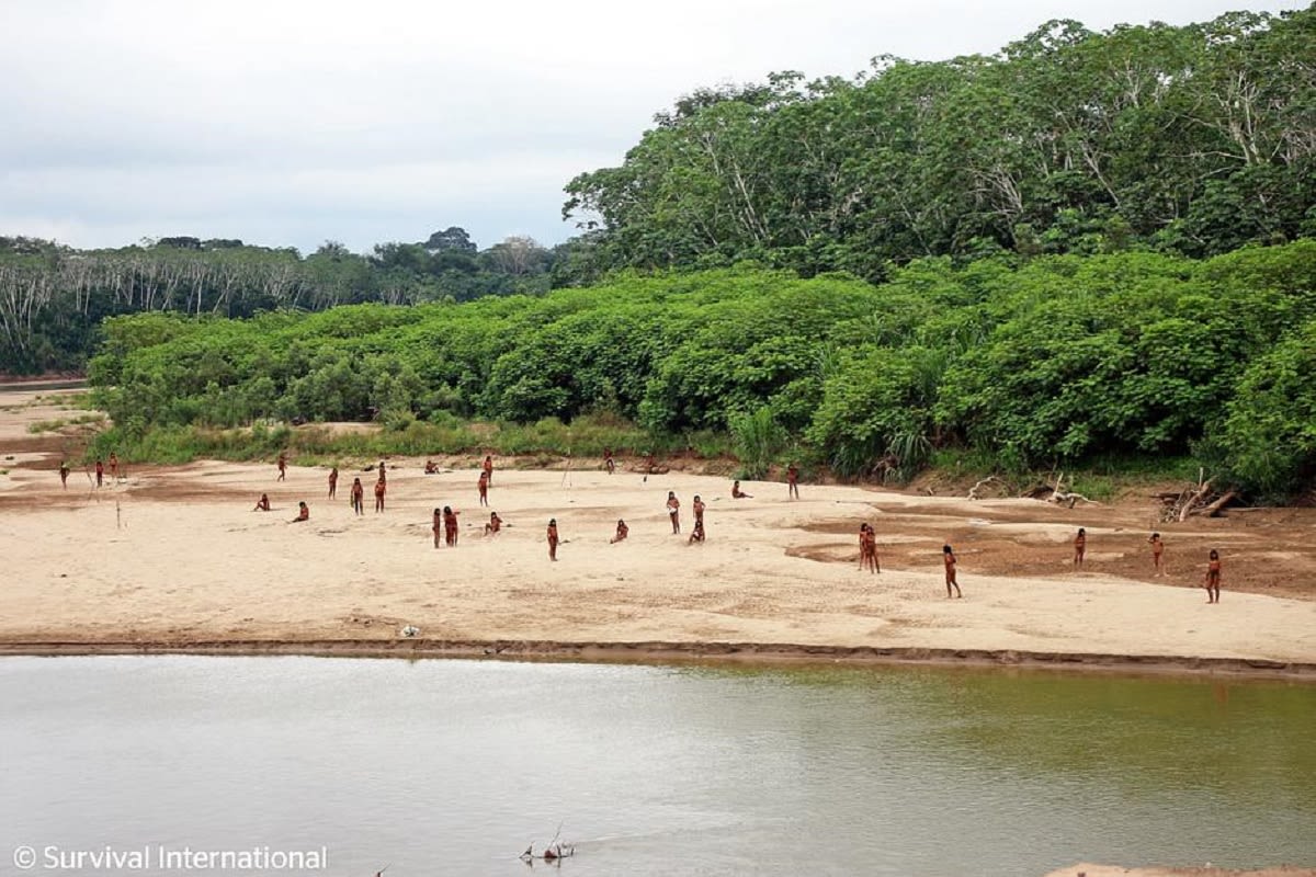 Isolated Amazonian Tribe Attacks Encroaching Loggers With Bows and Arrows