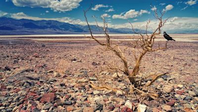 ¡No sólo México! Costa Rica enfrentará 'apagones' por sequía y 'El Niño'