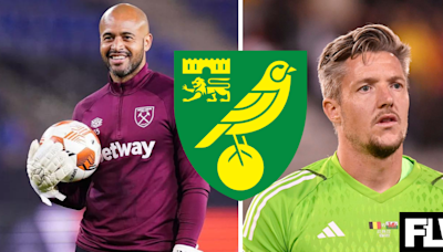 Norwich City urged to weigh up Wayne Hennessey or Darren Randolph move