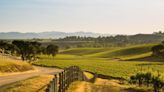 How Santa Ynez Valley Quietly Stole The Spotlight From California’s Prestige Wine Regions