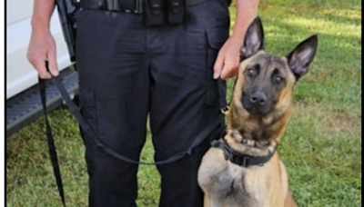 Boones Mill PD’s first K-9, Officer Rex, reporting for duty!