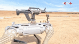 Preparação para a guerra moderna: China apresenta exército de cães robôs equipados com metralhadoras; vídeo