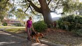 After nearly three years, Savannah woman has 'hole in her life' filled with seeing eye dog