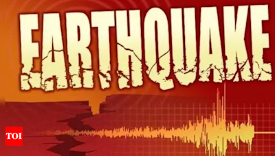 Earthquake of magnitude 4.5 jolts Andaman Sea | India News - Times of India