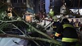 台北大安路樹倒塌 路過車輛遭波及3人受困 (圖)