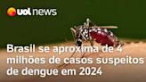 Dengue: Brasil se aproxima de 4 milhões de casos suspeitos em 2024; MG é o estado mais suspeitas